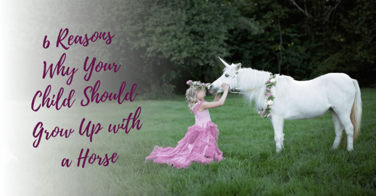 Why Your Child Should Grow Up with a Horse